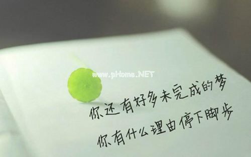 关于努力的唯美句子 要想不被抛弃，必须自己争