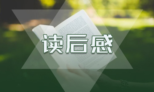 五年级小王子的读后感小学500字7篇