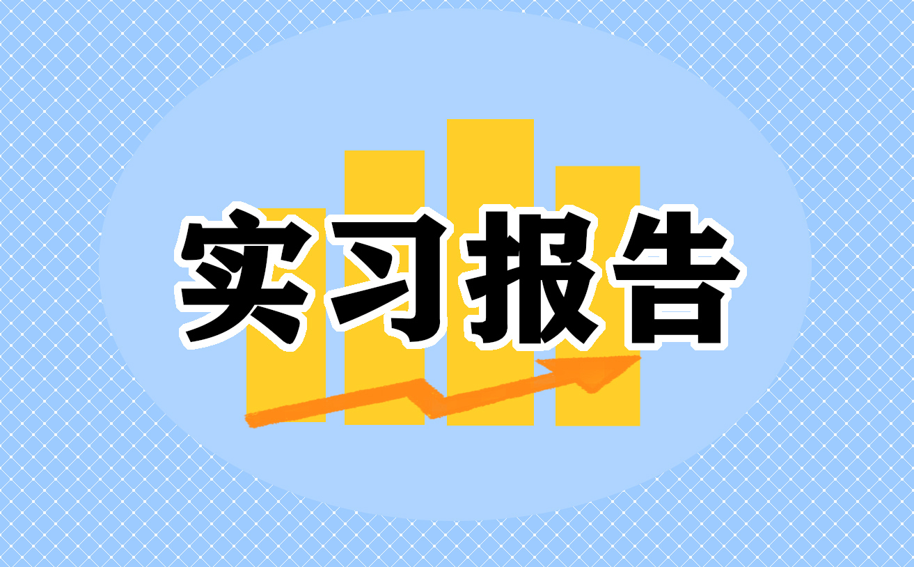 关于2023年会计岗位专业实习报告标准版（10篇）