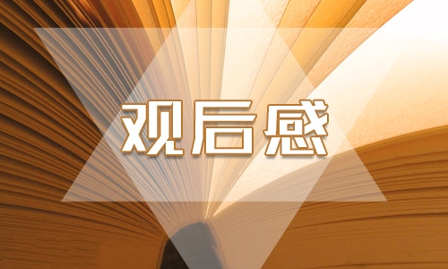 大学安全教育观后感800字模板5篇