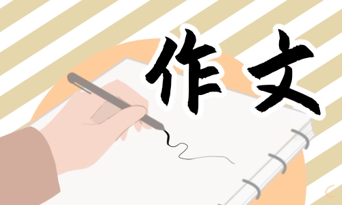 说明文作文800字例文