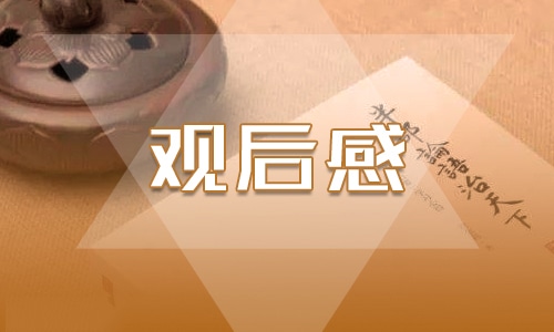 观看《小橘灯》优秀观后感400字范文