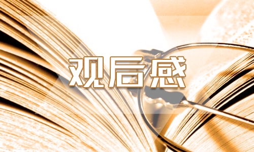 《泰坦尼克号》个人观后感300字范文